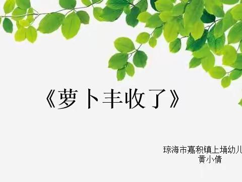 大班综合活动《萝卜丰收了》