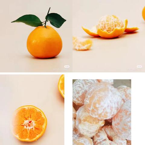 芜湖市鸠江北路幼儿园 ‍中四班课程故事 ‍《一个橘子有话说》