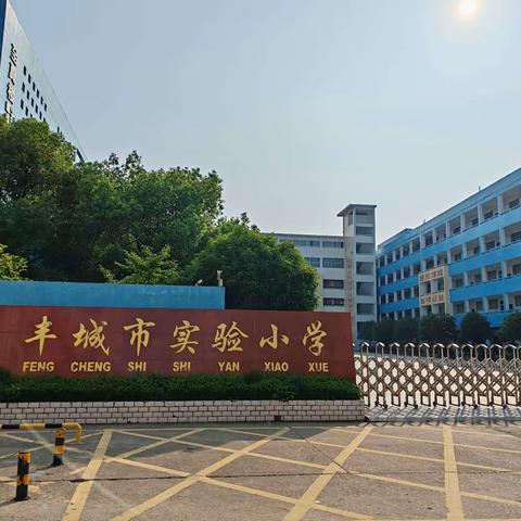 “学习二十大   争做好队员”——丰城市实验小学二年级第二批学生入队活动