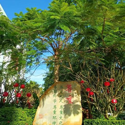 【主题教育，专业成长】“教”海过往为序章，“研”路俯拾皆芬芳—— 海口市港湾小学教育集团总校第九周三年级数学组“两备两上”教研活动