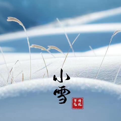 “幼”见小雪  寒冬始俏