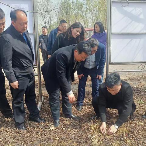 普集街道政协委员联络室开展“共商林下种植，赋能乡村振兴”专题商量暨集中学习活动