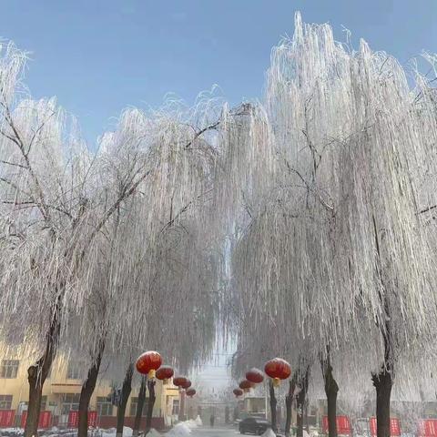 冬雪迎诗意  教研绽芬芳——龙口市新港路学校共同体“基于教师专业发展的区域教研路径”研讨会