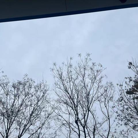 瑞雪兆丰年，劳动最光荣