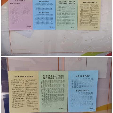 禁毒宣传进万家 筑牢防线护家园——雁园社区妇联开展禁毒宣传活动