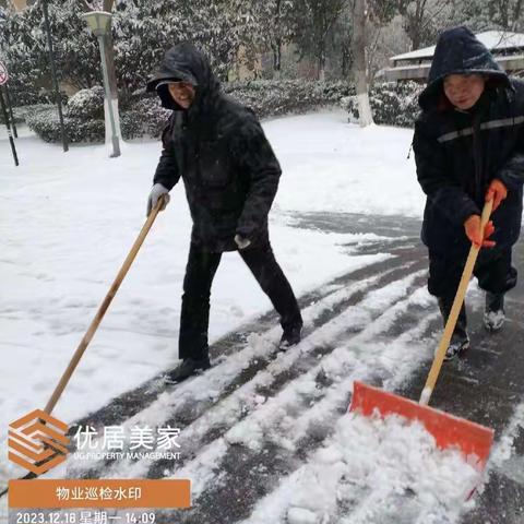 瑞雪纷飞至  物业除雪暖人心