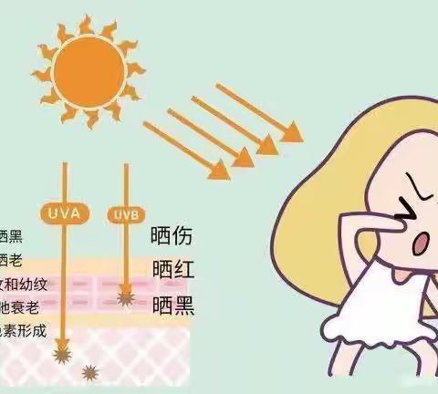 公东小暑期安全课堂预防夏季疾病（安全第四课）