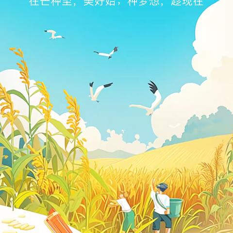 一起不慌不“芒”，迎接“种”夏芬芳— — 芒种主题活动