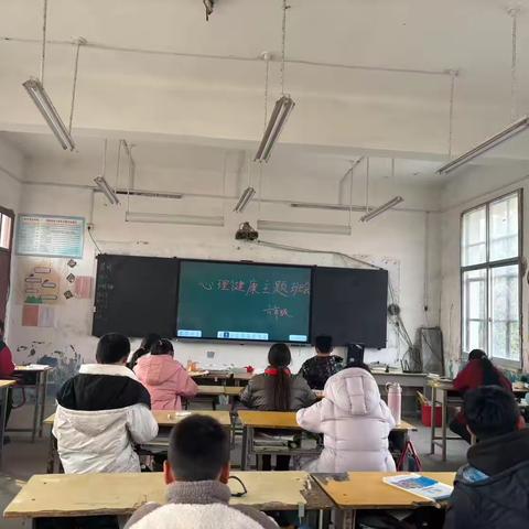 心理健康——构建和谐生活的基石