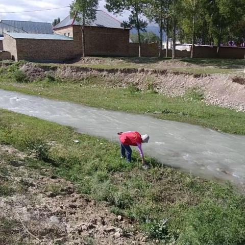 新乌苏村开展“净我所能，包保同心”环境卫生整治活动