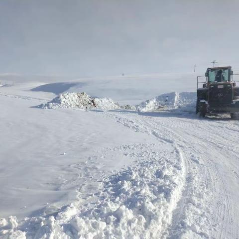 清雪除冰保畅通    为民扫出安全路