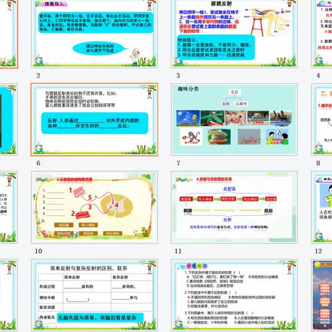 唯有热爱，不负岁月漫长—公开课教学纪实