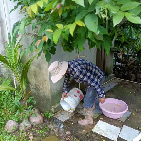 白毛村开展环境卫生整治运动全力防控基孔肯雅热简报