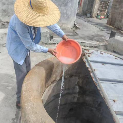 黎安镇开展台风过后水体及蚊虫消杀工作