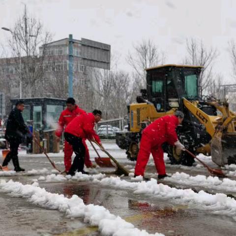 以雪为令 闻雪而动 ﻿机关矿区物业服务部 扫雪进行时