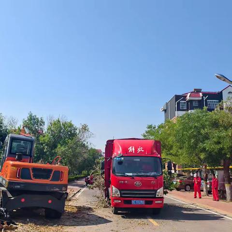 机械人工协同发力 高效清运绿化垃圾