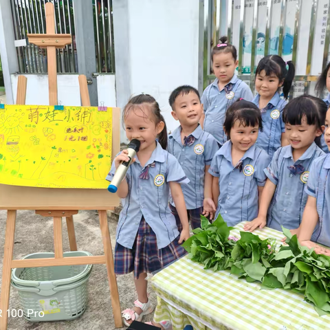 万泉镇中心幼儿园中三班田园课程—《萌娃卖菜记》