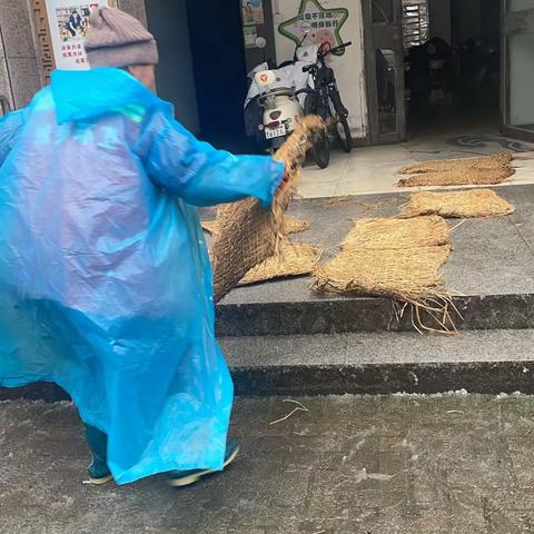 青松不惧风雪 梅花不惧严寒 东湖景园A B区物业2月3号和4号工作简报