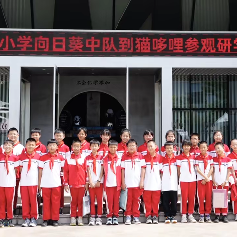 春和中心小学走进猫哆哩集团 开启研学新体验