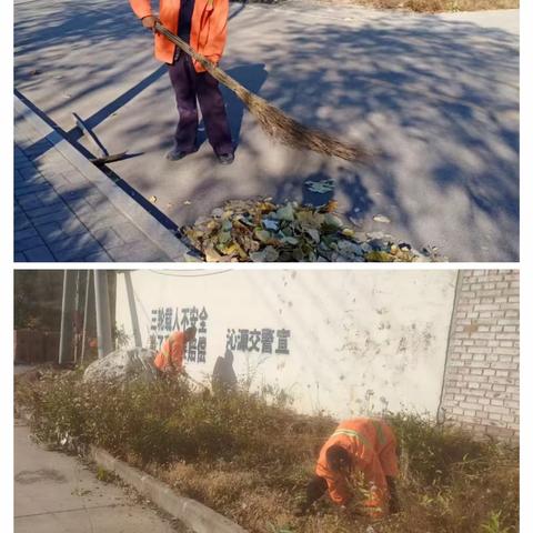 聪子峪乡2023年10月23日–29日环境卫生工作动态