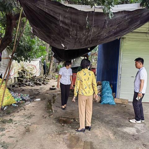 吉阳区妇女联合会区四级调研员蒲爱蓉到大茅村督导预防登革热工作