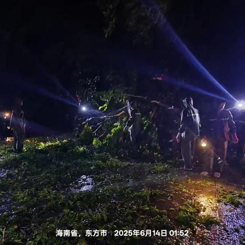 台风无情，志愿有爱——东方市退役军人号角志愿服务队在行动