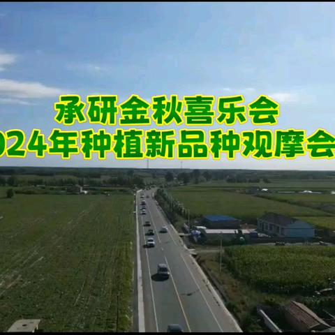 2024年承研现代农业新品种观摩会 ﻿优质高产种子介绍