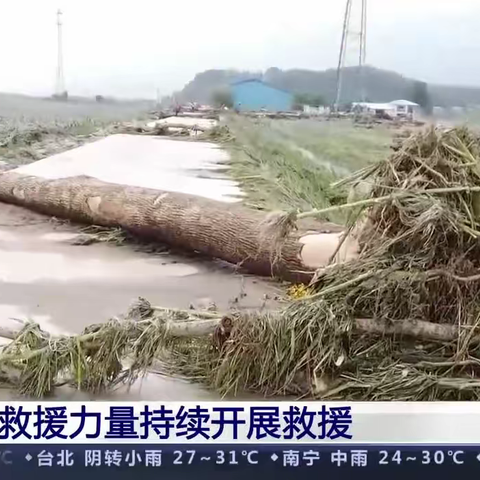 [稽查调度部]防汛减灾，重建家园