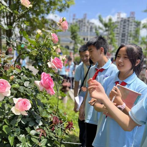 柠夏初开