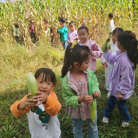 如期而至，满“新”欢喜——孤山学校幼儿园秋季开学篇