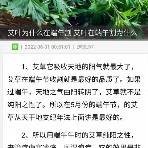 安康端午节     “艾”情和满园