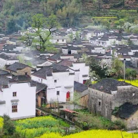 寻美食文化，品家乡味道——上饶市第十一小学五年级3班班级活动