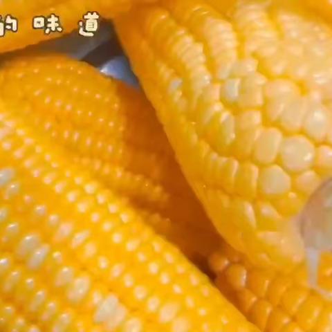 🌻未来之星——营养美食🌻