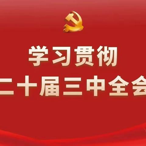 卧龙路支行党支部组织全体党员集中观看学习贯彻党的二十届三中全会精神专题辅导系列课程