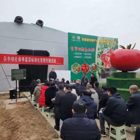 西安市高陵区供销联社举办春季蔬菜标准化管理专题讲座