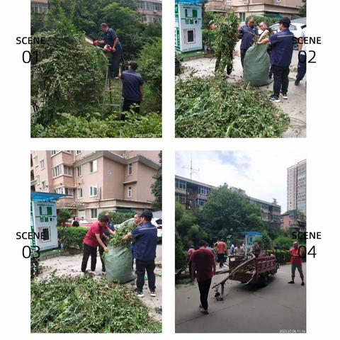 【五心鸿雁 五星为您】打响夏日卫生保卫战——鸿雁社区开展环境卫生大整治活动