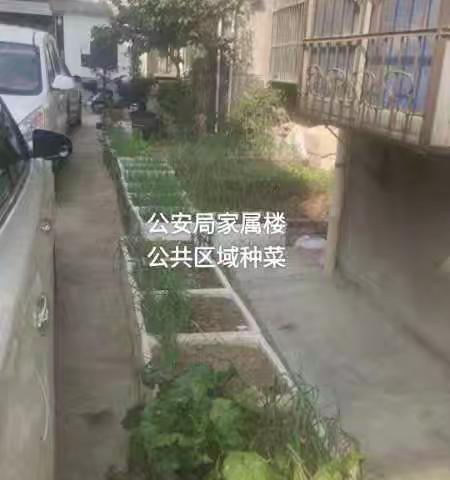 山阳县机关事务服务中心 督导城区机关单位家属楼环境卫生整治提升工作