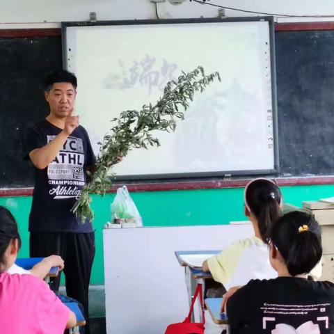 情暖端午，端午安康          –––西兰户小学端午节系列活动