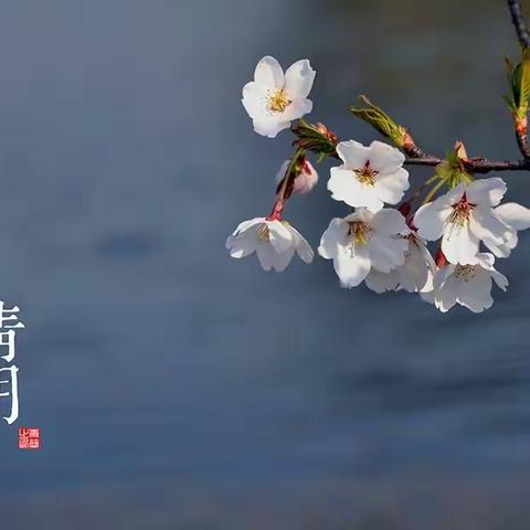 织造车间党总支开展“我们的节日·清明”主题党日活动