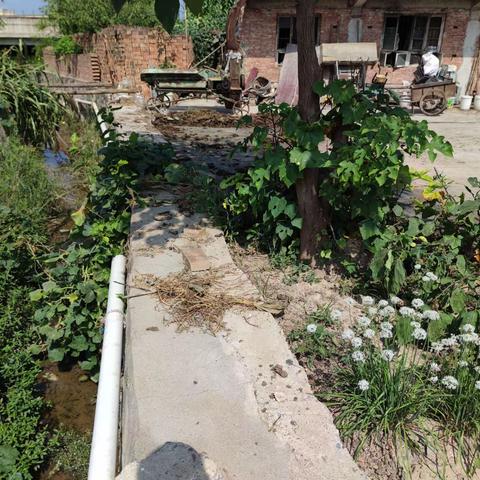 西安市生态环境局临潼分局监测站对河流排污口进行排查