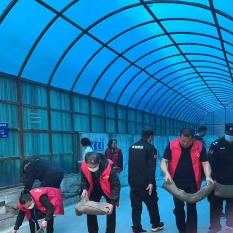 绷紧防汛弦，织密减灾网：玉皇阁社区辖区在行动