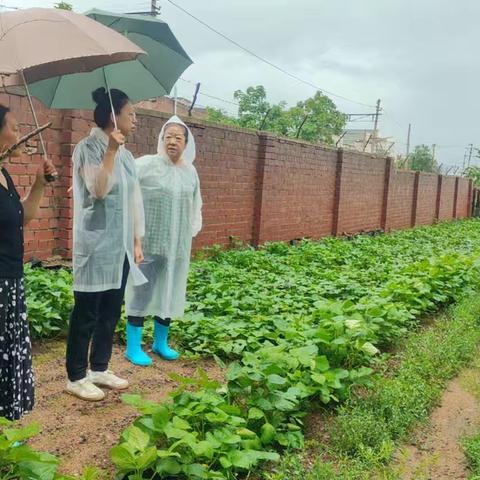 虎南社区积极应对暴雨，排查险情、险房