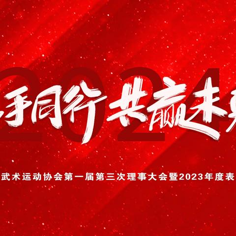 《武林群英荟萃栖霞，南京市栖霞区第一届第三次理事大会暨2023年度表彰大会圆满落幕——武术名家风采再现，共绘未来新篇章》