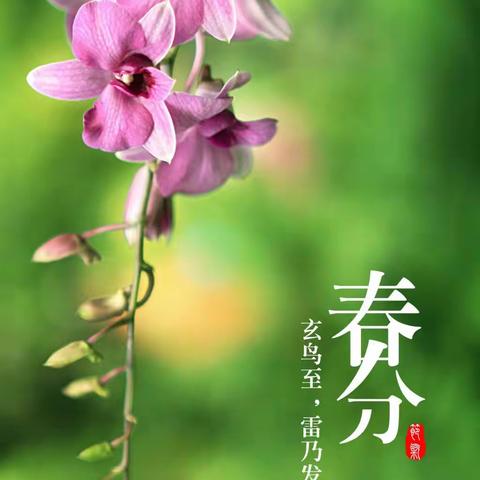 琥珀花园｜3月份物业服务月报