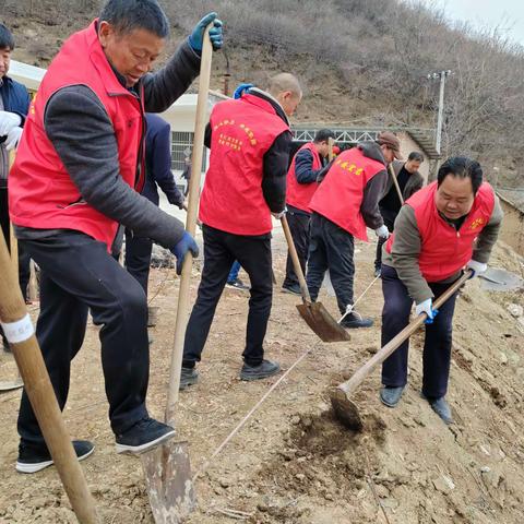 三月春光好，村庄绿化忙——棋盘村全面开展村庄绿化活动