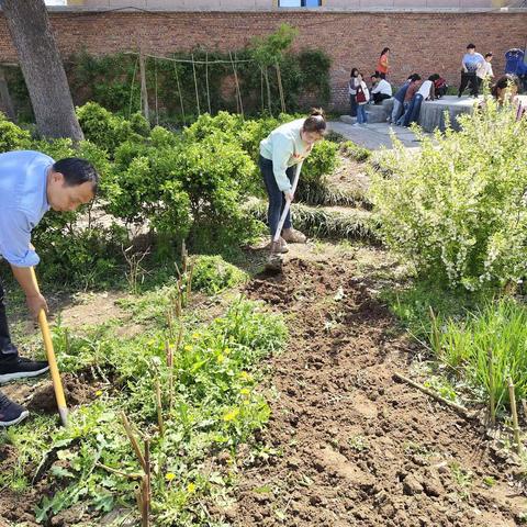 趣种植·悦劳动·乐生长——马庄乡雷庄学校开展种植实践活动