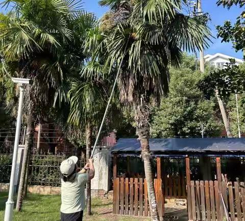 课程故事《蒲扇摇过的夏天》（王丽芳）