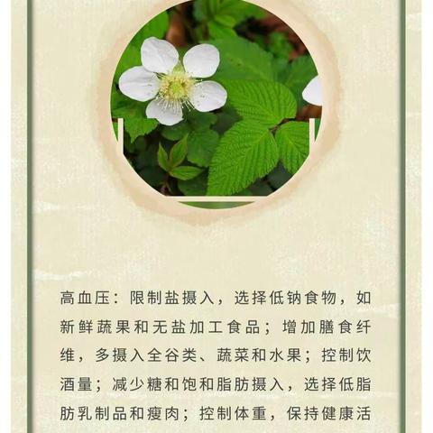 慢性病与端午节：关爱身体，传承文化