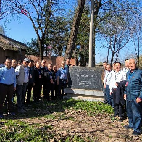 踏入历史痕迹的时光隧道,感受古老遗址的神秘魅力。