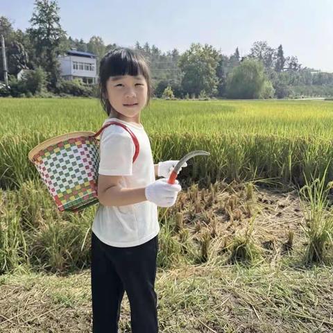 躬行乐雅 强我少年｜东湖路学校第五届乐雅劳动技能周全纪实